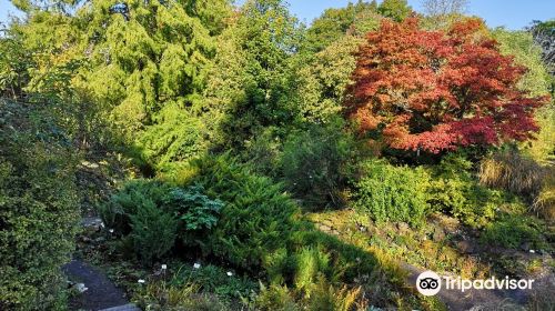 Old Botanical Garden of Göttingen University