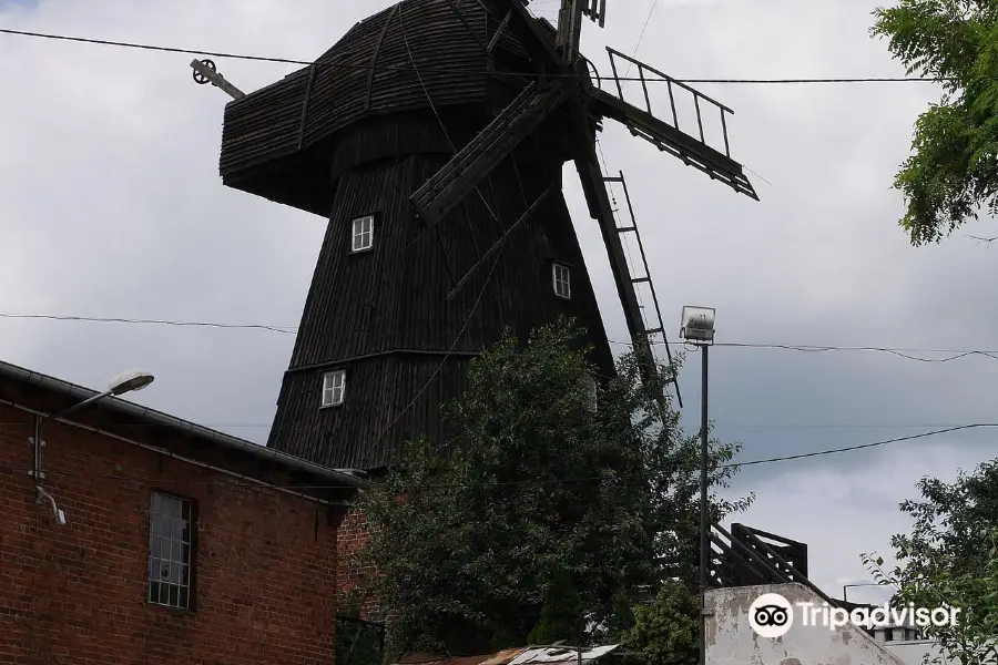 Smock Mill in Tczew