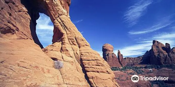 賽多納觀星活動