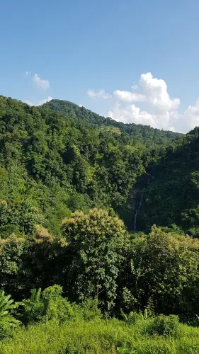 Dimapur