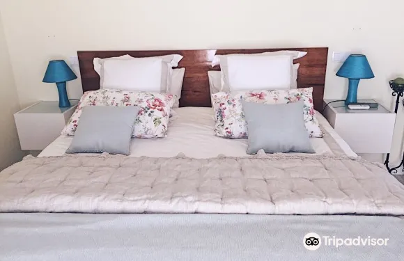 阿拉比達傳統-葡萄牙豪華休閑酒店