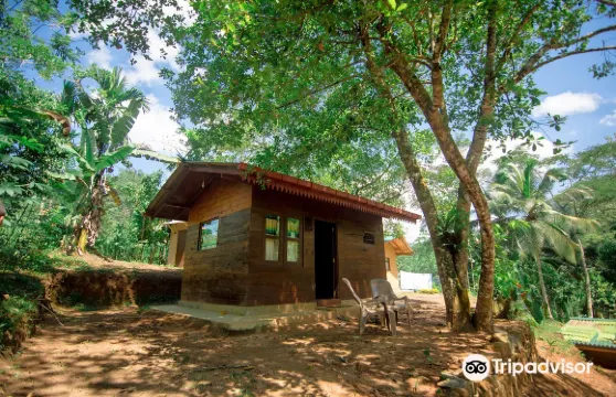 360熱帶雨林酒店