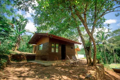 360 Rainforest Hotels in Matara