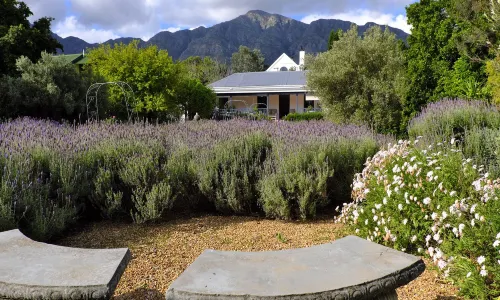Chapter House Boutique Hotel by the Living Journey Collection