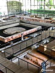 Sito-museo gallo romano di Vesunna