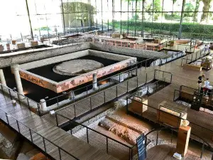 VESUNNA, Gallo-Roman Museum