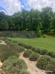 Beagle Ridge Herb Farm