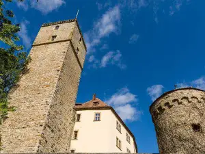 Guttenberg Castle (Burg Guttenberg)