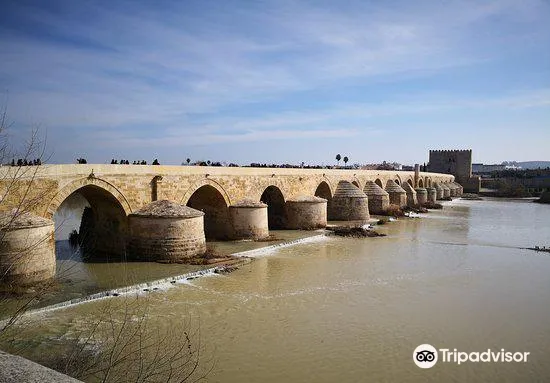 4_Sevilla Mosque Foundation