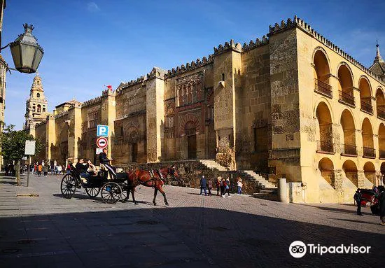 2_Sevilla Mosque Foundation