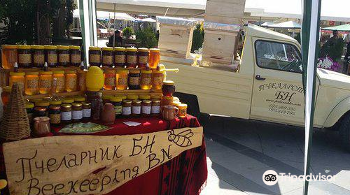 Beekeeping BN