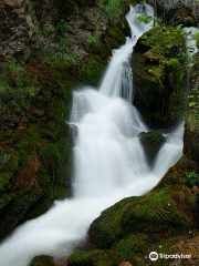 Borjomi-Kharagauli National Park