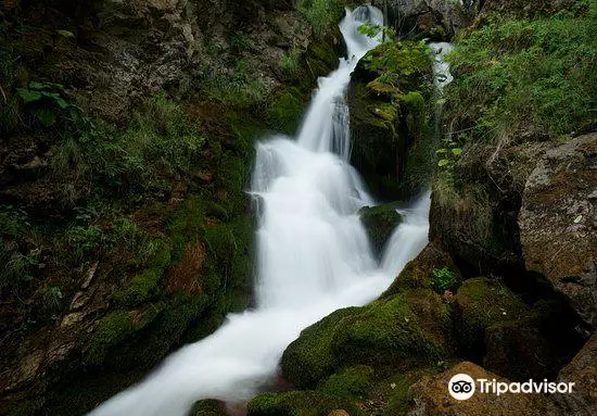 Borjomi-Kharagauli National Park