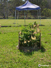 Truffle Discovery Centre Stanthorpe