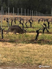 Hunter’s Dream Estate - Cellar Door