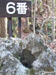 鳴沢溶岩樹型