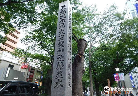 The road lined with Japanese Zelkova near Babadaimon Gate