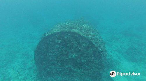 Wreck of the Matai