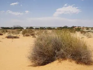 Innamincka Regional Reserve