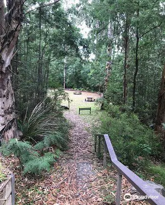 Lawson Picnic Ground