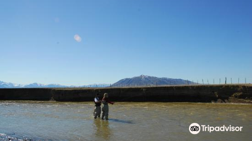 Calafate Fishing