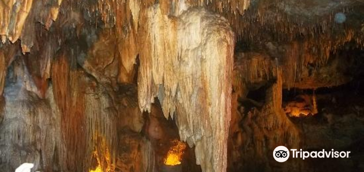 Things to Do in Gravois Mills in 2024 Top Attractions, Local Food