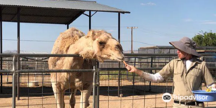 Hesperia Zoo By reservation only