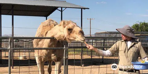 Hesperia Zoo By reservation only