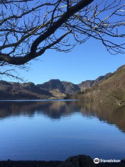 Gwydir Forest Park