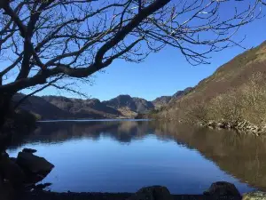 Gwydir Forest Park