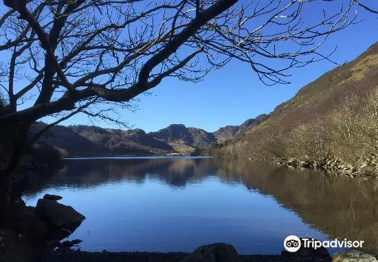 Gwydir Forest Park