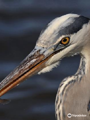 Edwin B Forsythe National Wildlife Refuge