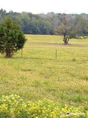 Cabin Creek Battlefield