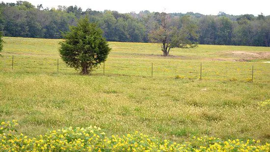 Cabin Creek Battlefield