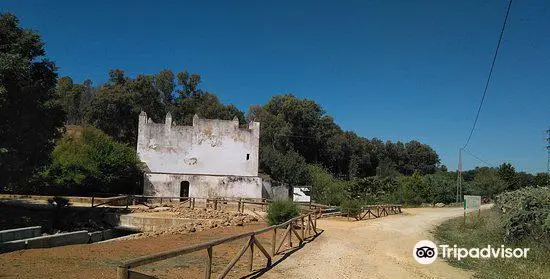 Molino de Benarosa