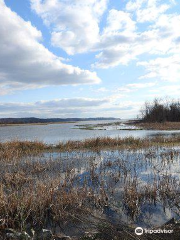 Eufaula National Wildlife Refuge