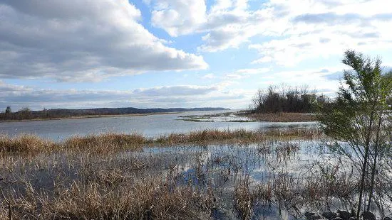 Eufaula National Wildlife Refuge