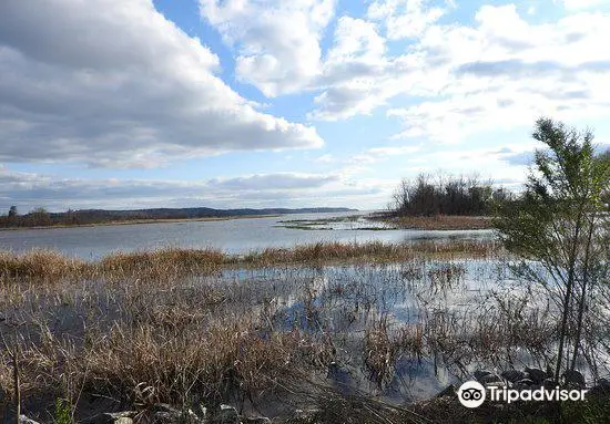 Eufaula National Wildlife Refuge