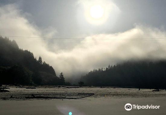Big River Beach at Mendocino Headlands State Park