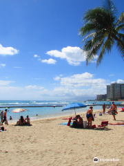 Waikiki Wall