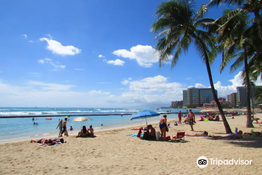 Waikiki Wall