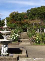 西宮市北山緑化植物園