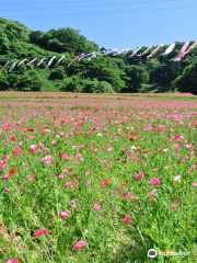 쿠리하마 하나노 쿠니(쿠리하마 꽃의 나라)