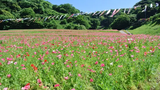 くりはま花の国