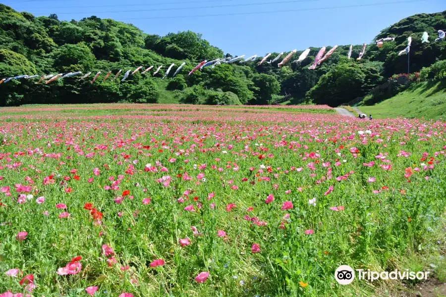Parco dei fiori Kurihama