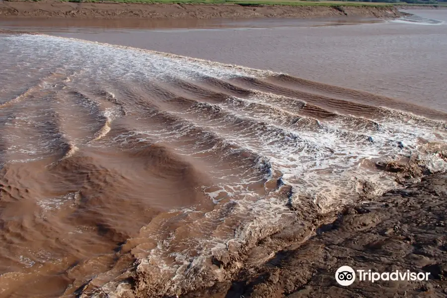 Tidal Bore