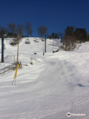 Laurentian Ski Hill