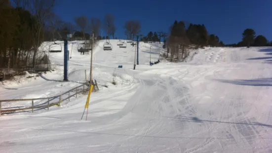 Laurentian Ski Hill