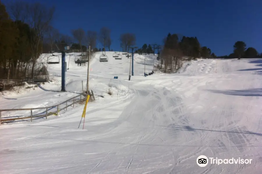 Laurentian Ski Hill