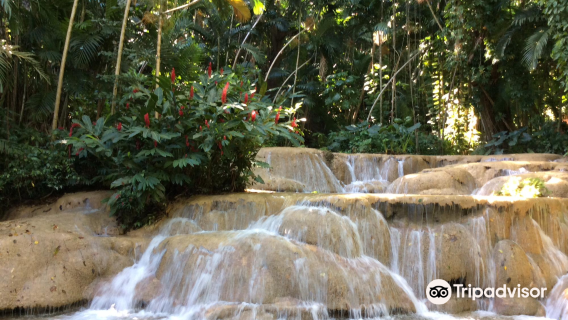 The Turtle River Falls & Gardens (formerly The Enchanted Gardens)